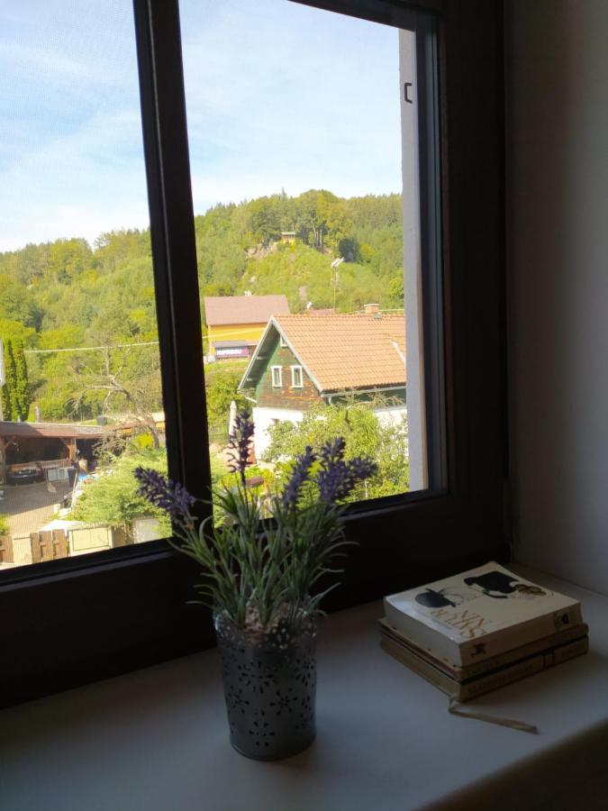 Penzion Drnovec Cvikov Buitenkant foto